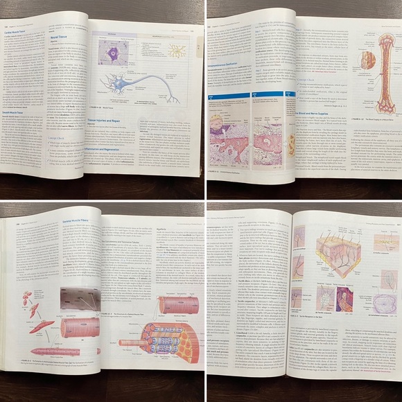 🔬 College Textbook Fundamentals of Anatomy and Physiology 7th Addition - Picture 13 of 16